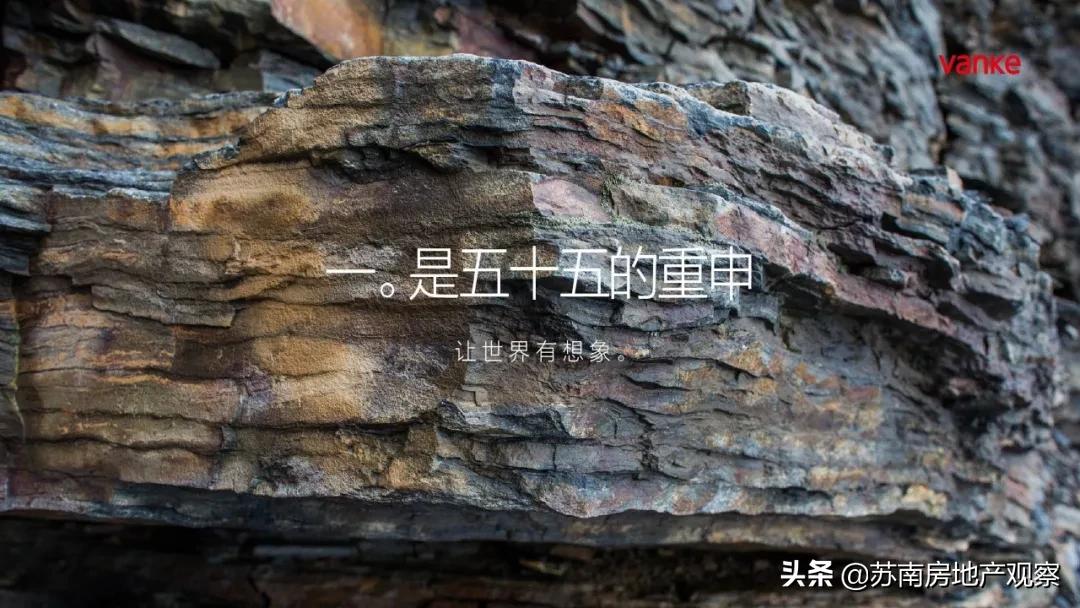 万科能不能入手,万科热销