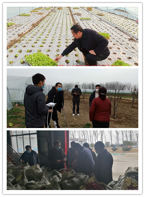 卧龙区青华镇：当好战疫复工先行者人大代表在行动