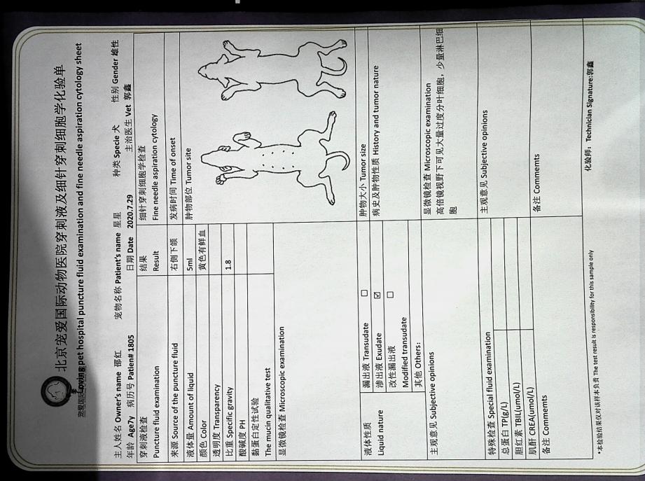如果狗身上有虱子应该怎么办,如果狗狗身上有虫子怎么办