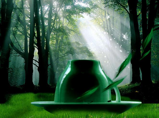 十首最美茶诗词,关于茶的最经典的诗词