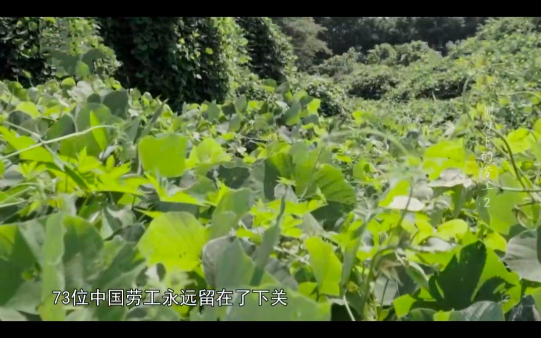 一段令人难忘的日本历史,一口气看完日本人的历史