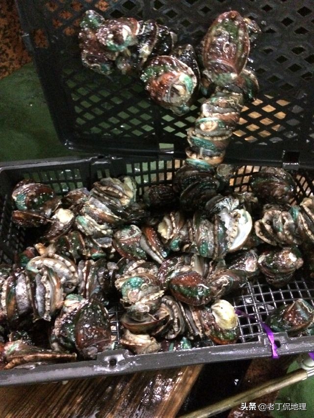 中国海鲜地图,中国海鲜最多地区