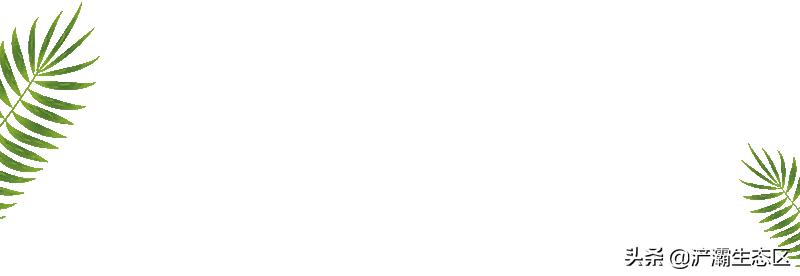 迎接十四运完整视频,有害垃圾收运暂存点