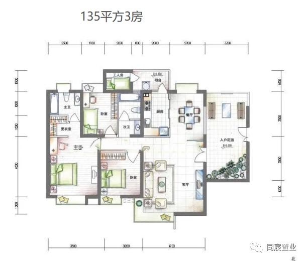 南山顶流学位科技园南｜南外高新最强攻略（下）