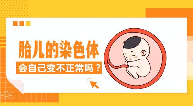 胎儿为什么染色体会变异呢,胎儿染色体正常指标