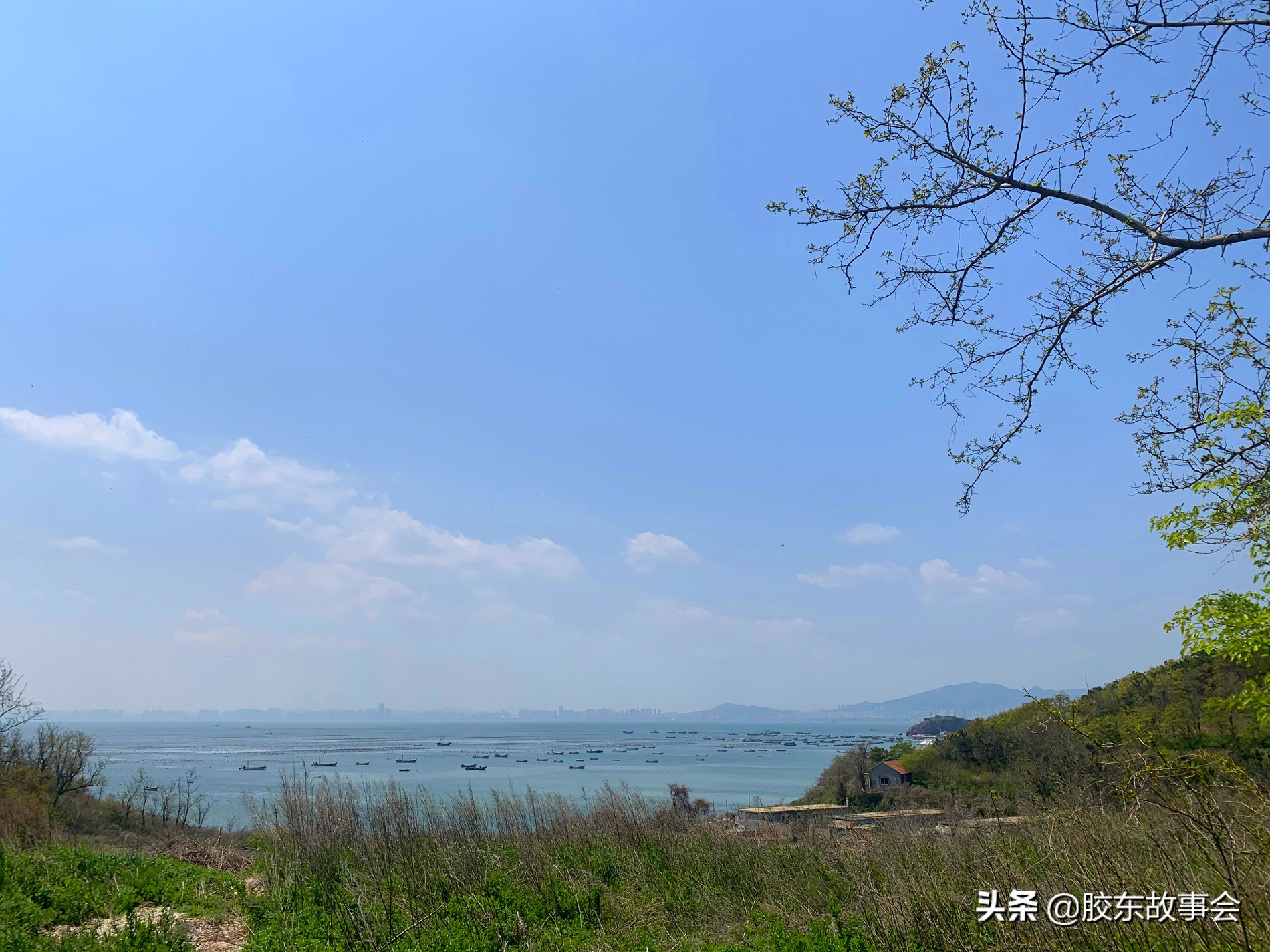 烟台崆峒岛风景,烟台崆峒岛旅游攻略图片