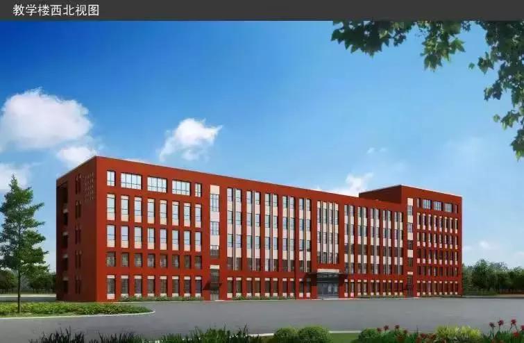 新区好学校,新区好的小学