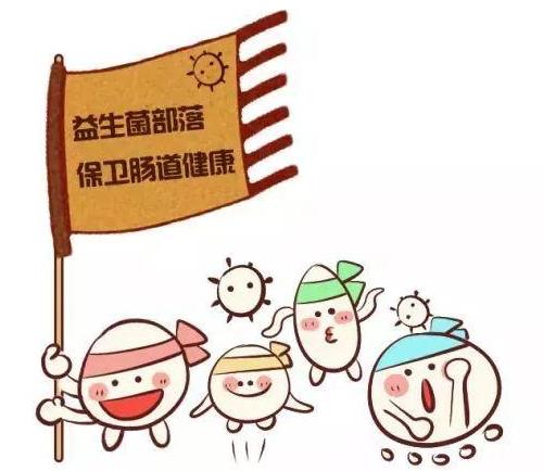 狗排便次数正常但是拉稀,狗排便次数增加