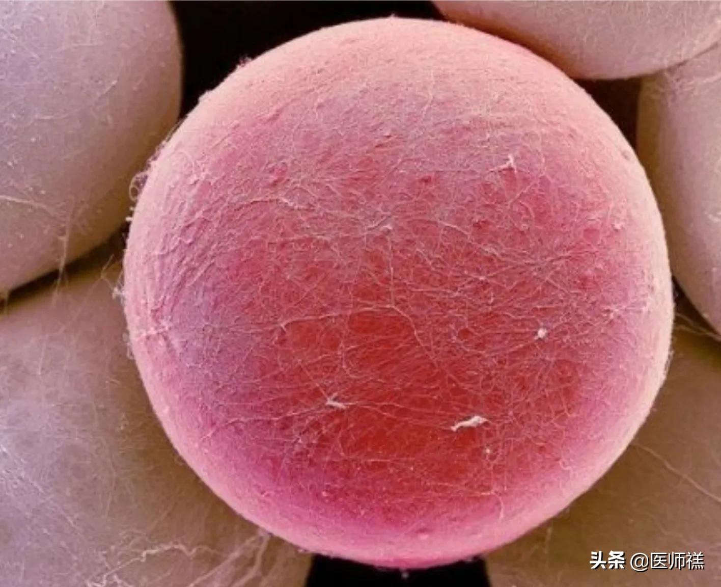 食物中的农药残留有哪些,哪些东西是农药残留的食物