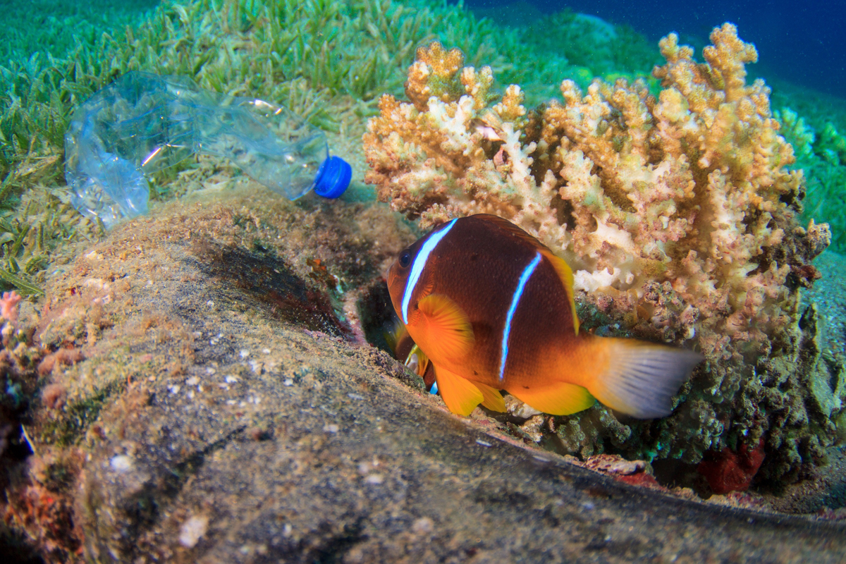 玻璃的危害是塑料的四倍,专家讲解塑料对人的危害