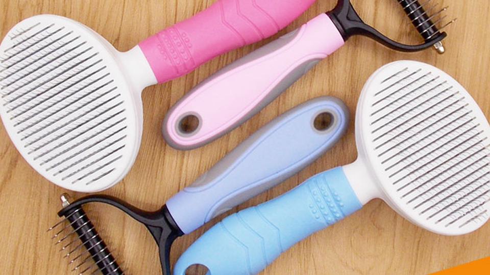 马犬的正确饲养方法,饲养马犬视频