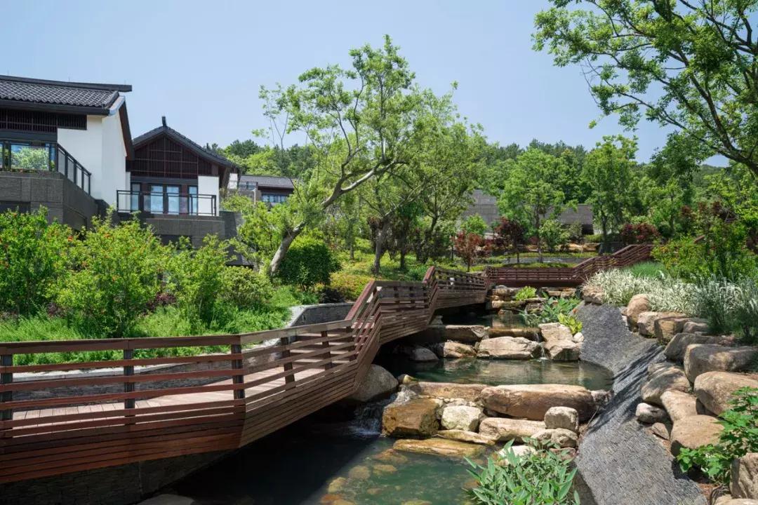 宁波康得思酒店开业,宁波康得思酒店自助晚餐价格