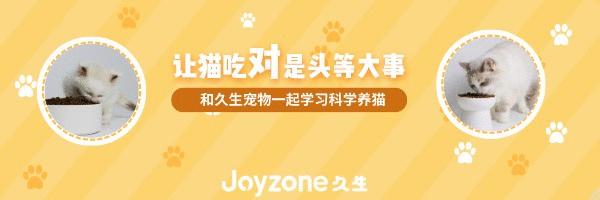 如何让领养的小猫咪快速适应新家,怎么吸引刚领养的小猫咪过来