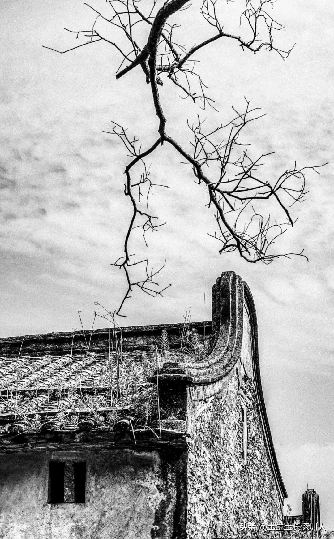 大浪地名,大浪有哪些地名