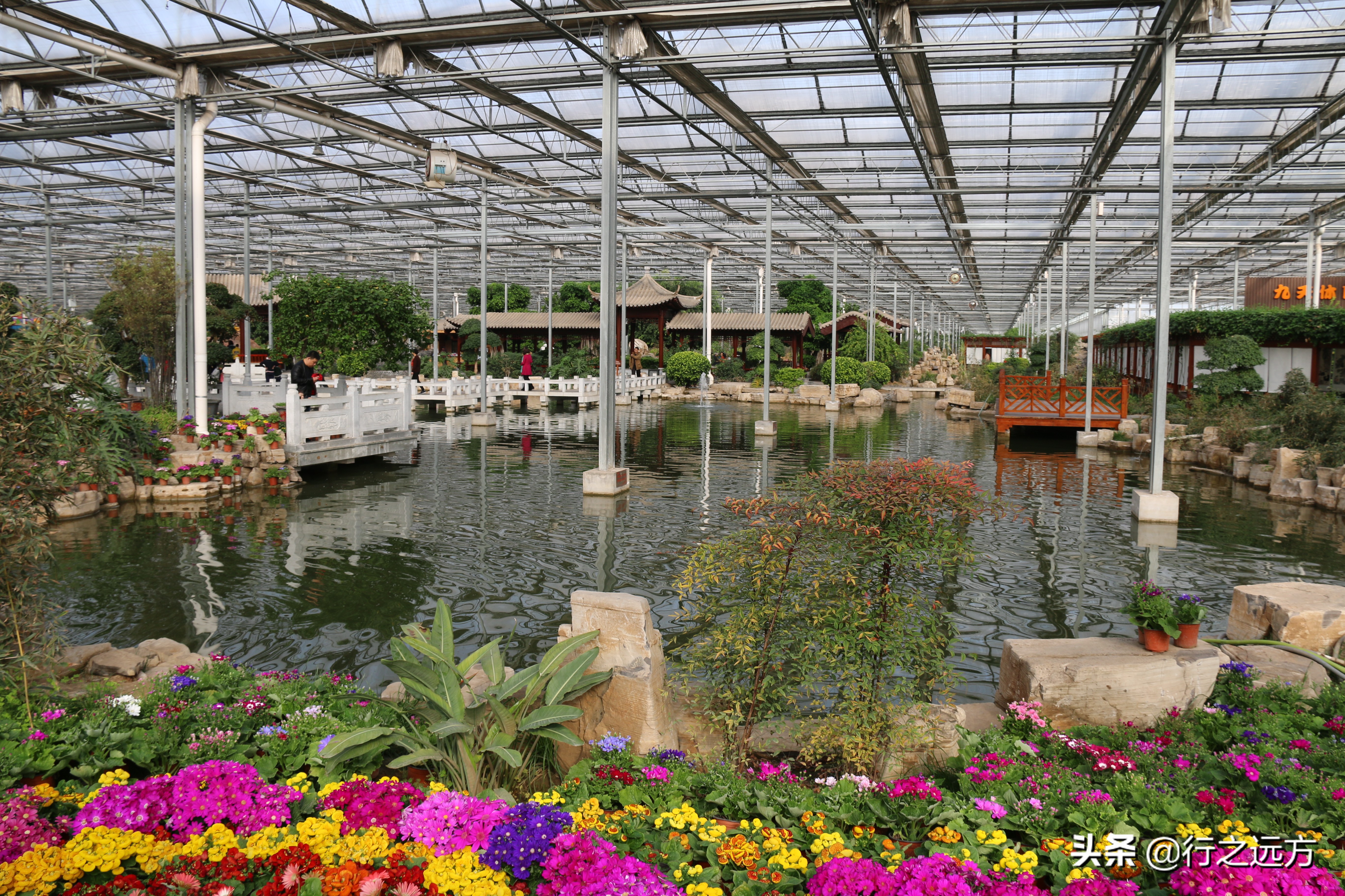 廊坊九天休闲谷人山人海,河北廊坊九天休闲谷