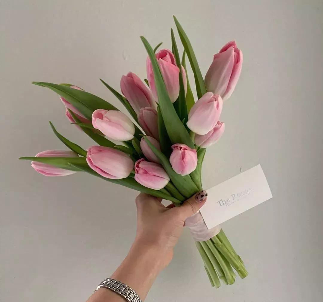 花材不剪枝如何养护,花材不用换水养护方法大全