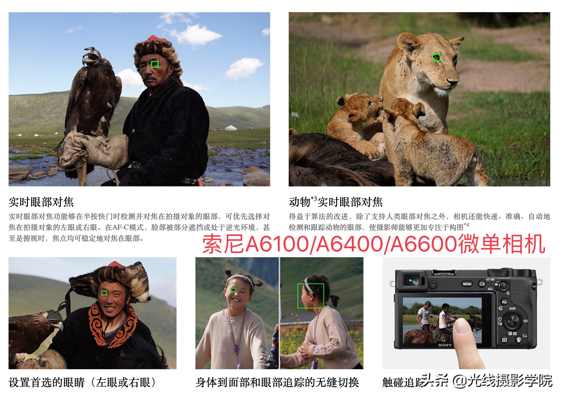 2021全画幅无反微单相机推荐,2020年微单相机好还是单反相机好