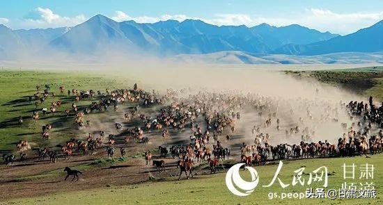 张掖旅游免门票政策最新,甘肃旅游景区免门票条件是啥