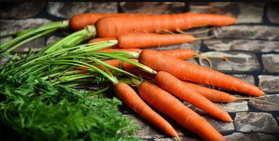 胡萝卜里的哪个成分可以保护视力,吃胡萝卜可以改善视力吗