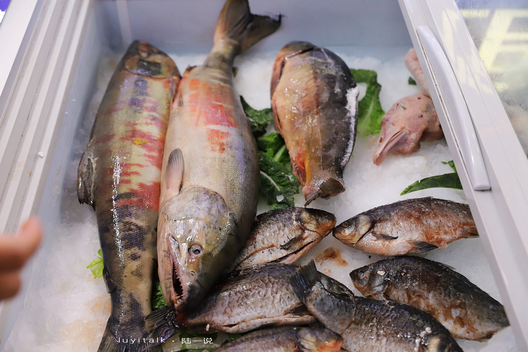 火遍天下东北铁锅炖,舌尖上的美食东北铁锅炖鱼