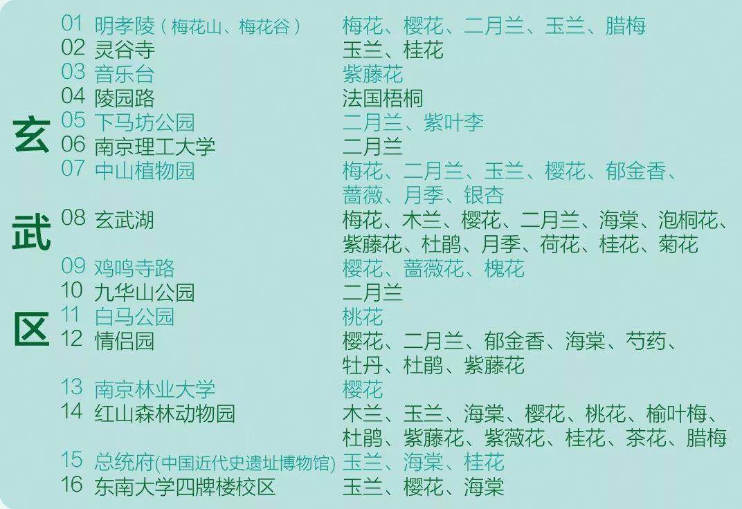 南京惊艳你的地方,南京最新名片