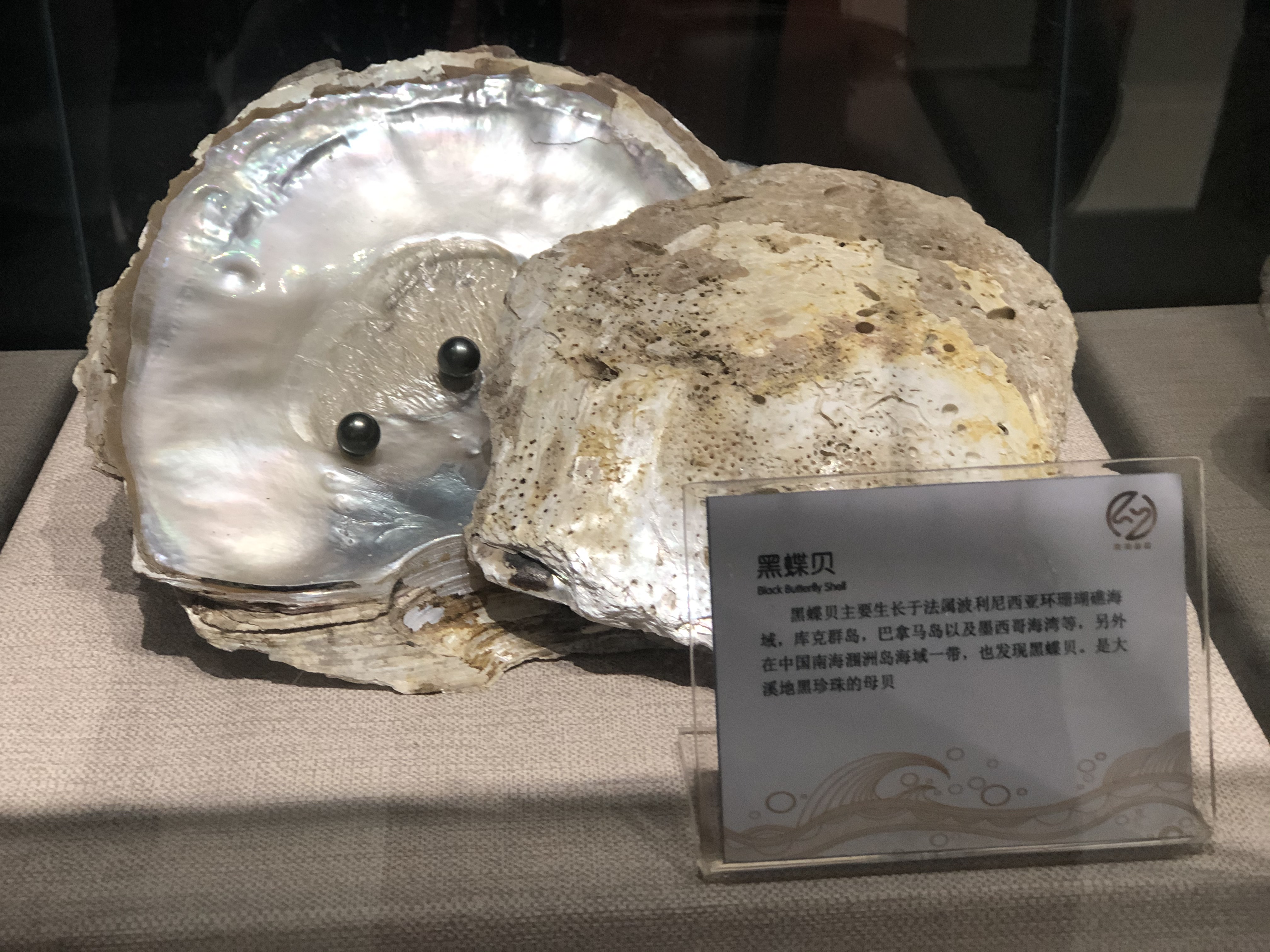 北海跟团游陷阱,低价北海旅游团套路