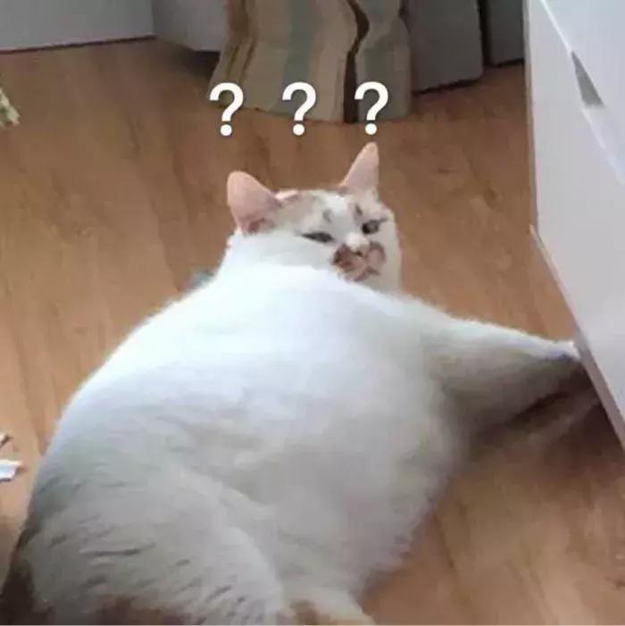 堪比大牌的小众口红有哪些,小众口红推荐复古口红