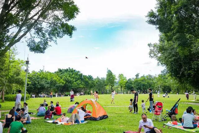深圳免费公园哪里最好啊,深圳十大免费公园景点大全