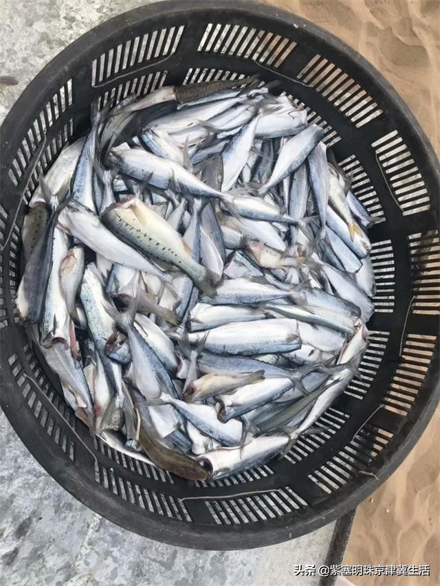 网上买的海鲜被坑,市场买海鲜被骗