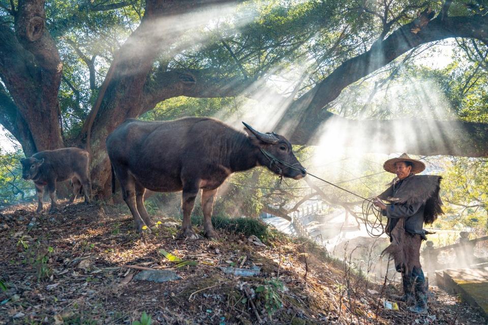 浙江沿浦旅游攻略,沿浦的风景