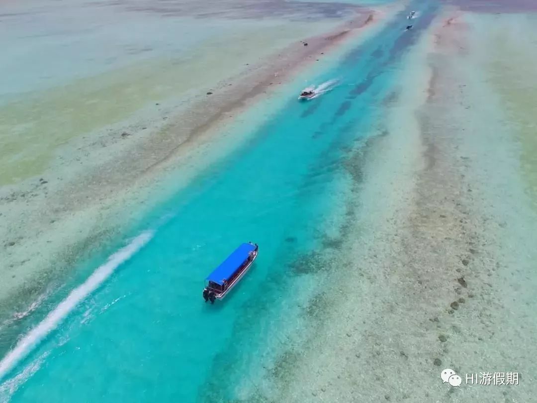 帕劳海底世界美人鱼,美人鱼和帕劳