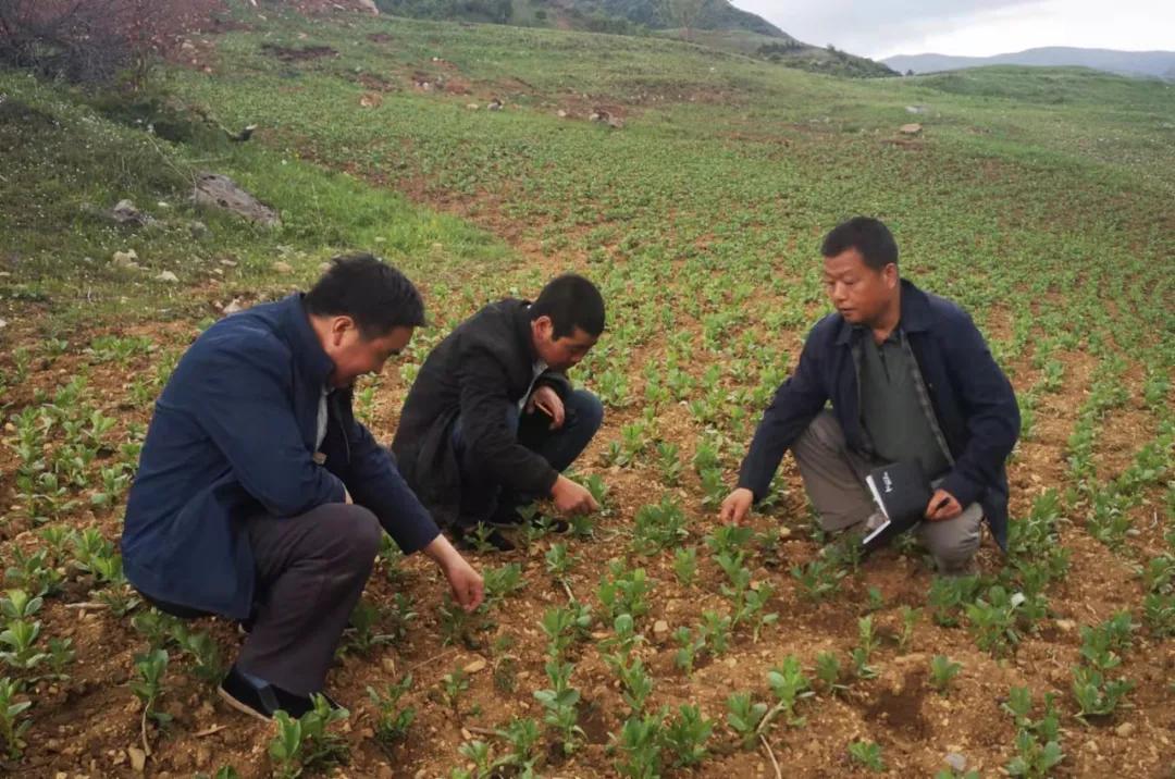 爱国电影我和我的父辈,我和我的父辈完整版经典电影