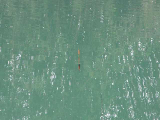 钓鱼的乐趣诗词,钓鱼之乐趣