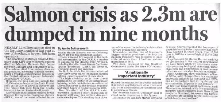 “最毒僵尸鱼”,外媒曝挪威三文鱼养殖乱象,看完胃不好了