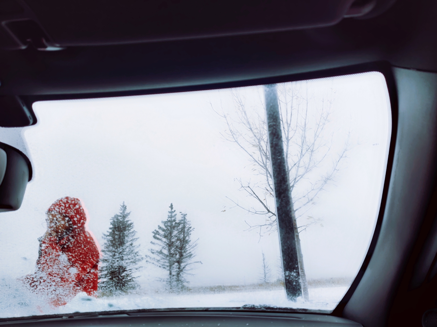 CanadianRockiesI初见班夫的美-在雪地扎帐篷