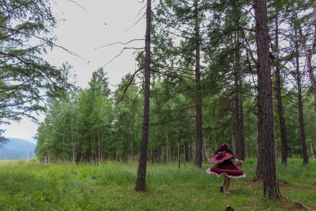 自驾三天呼伦贝尔大草原,自驾去呼伦贝尔草原七日游的攻略
