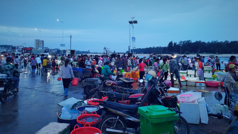 广东湛江景点及美食攻略,广东游记湛江市最美味的海鲜