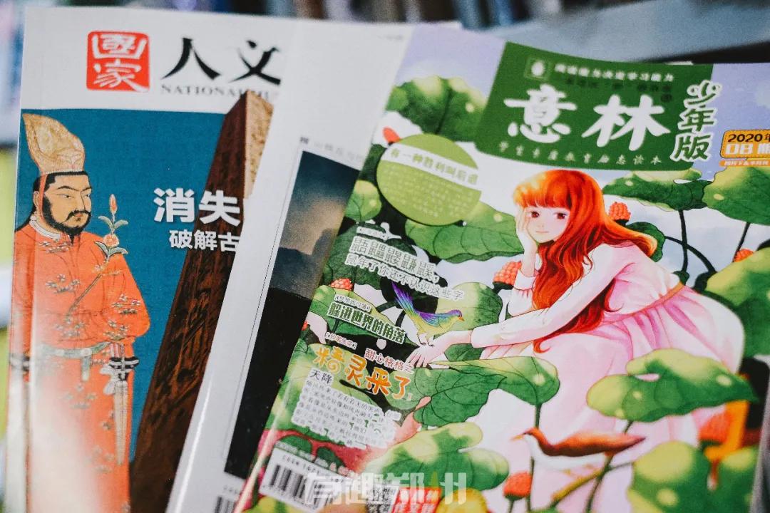 纬一路：在遮天的法桐里想起龙门书店的往事，以及家属院时光……