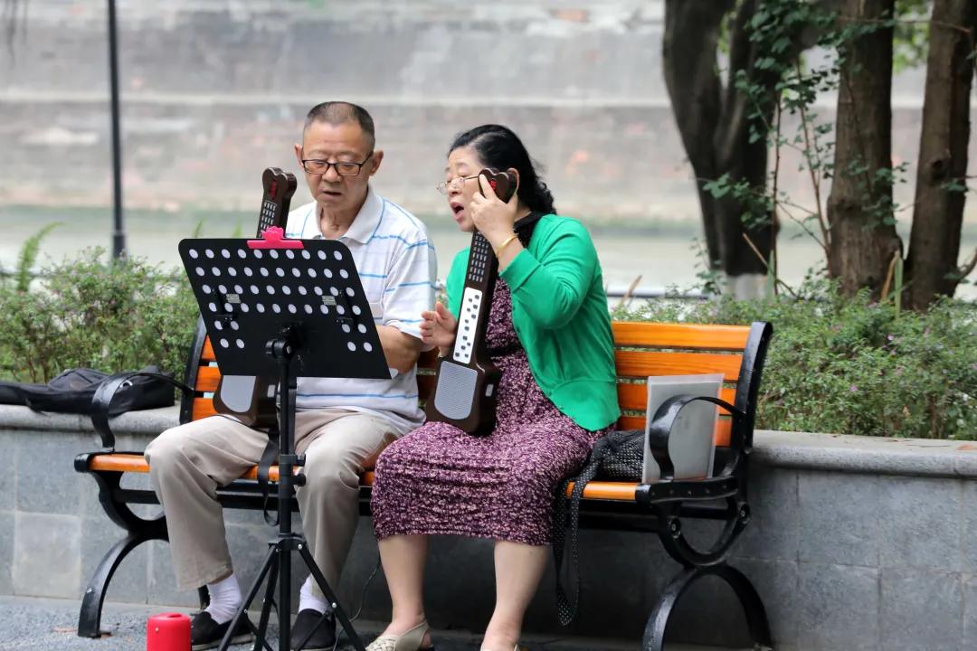 成都城南4条最美街道,成都天府新区风景优美的地方
