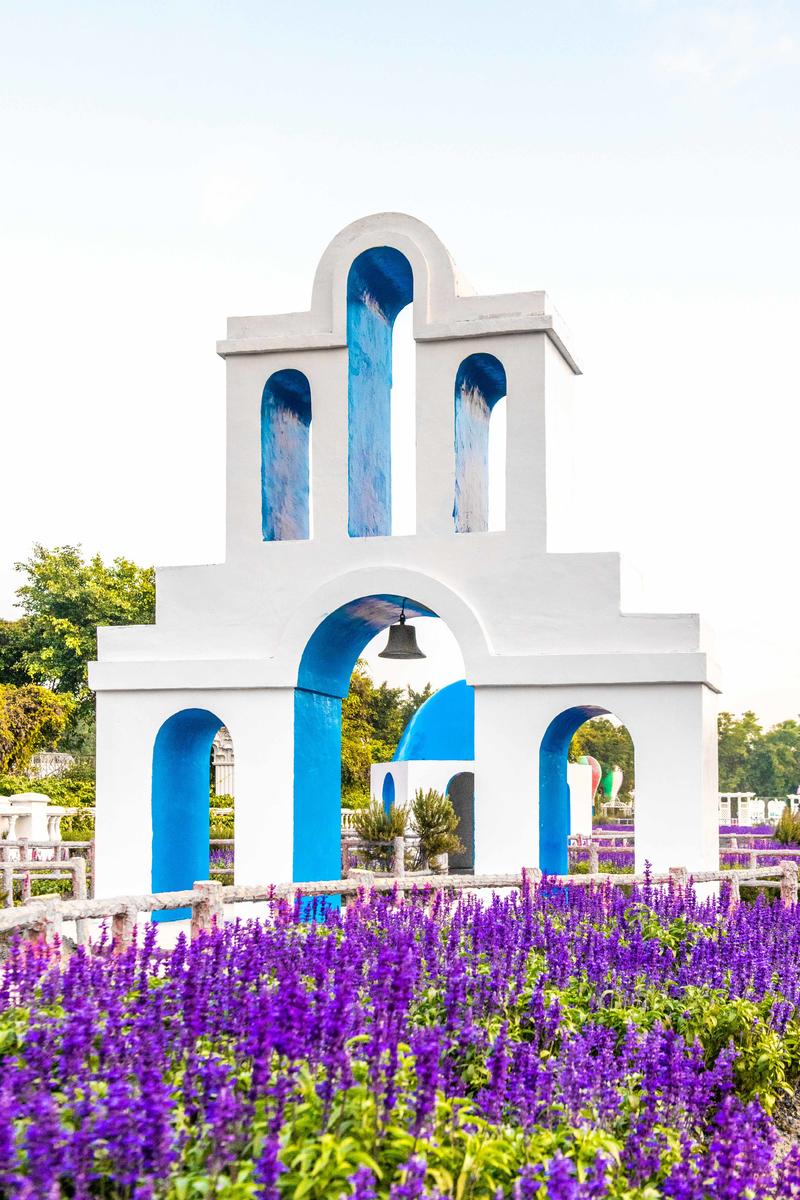 你知道广州有个百万葵园吗?四季都繁花似锦,景色让人流连忘返