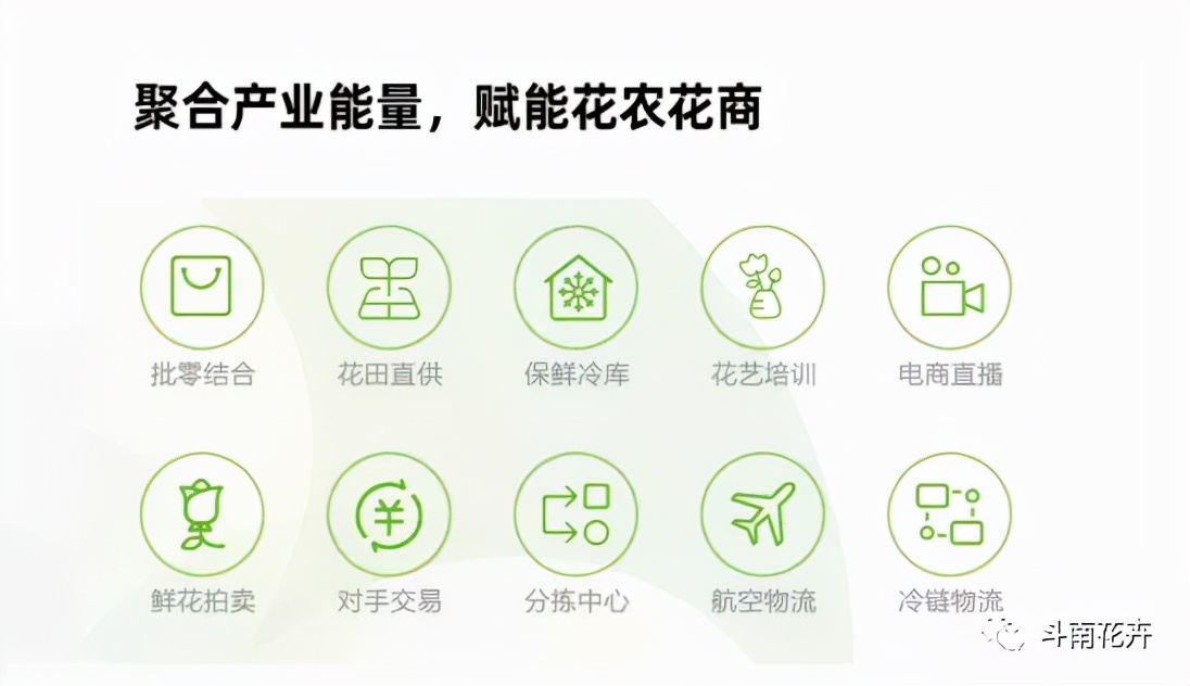 斗南花卉东北交易中心落地沈阳,沈阳斗南花卉批发