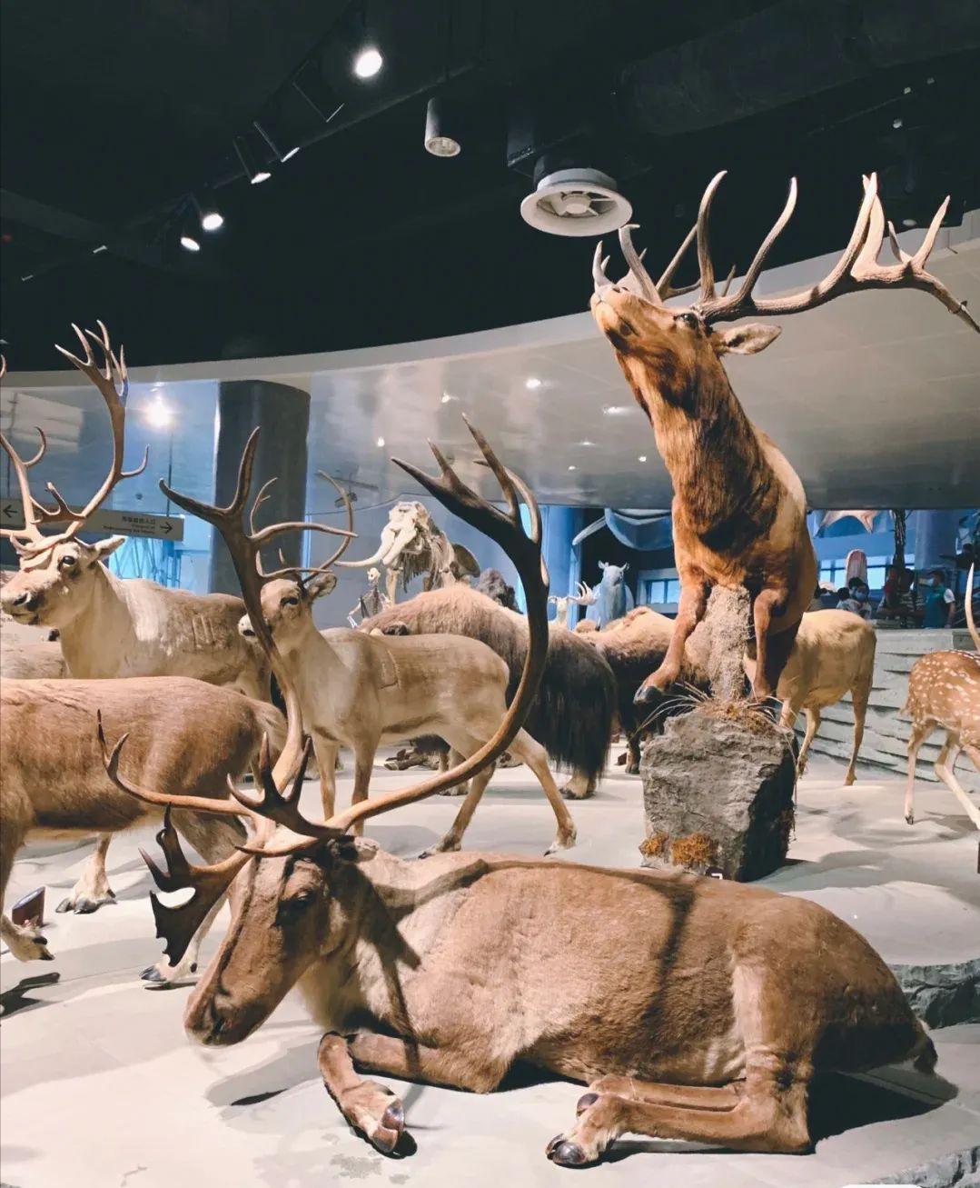 浙江孩子暑假,宁波暑期孩子游玩