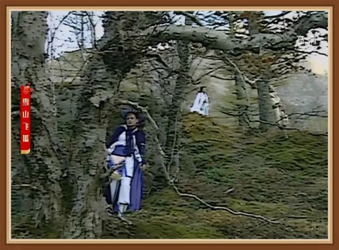 金庸小说最感人的几段情,金庸小说里爱情发生的几种可能