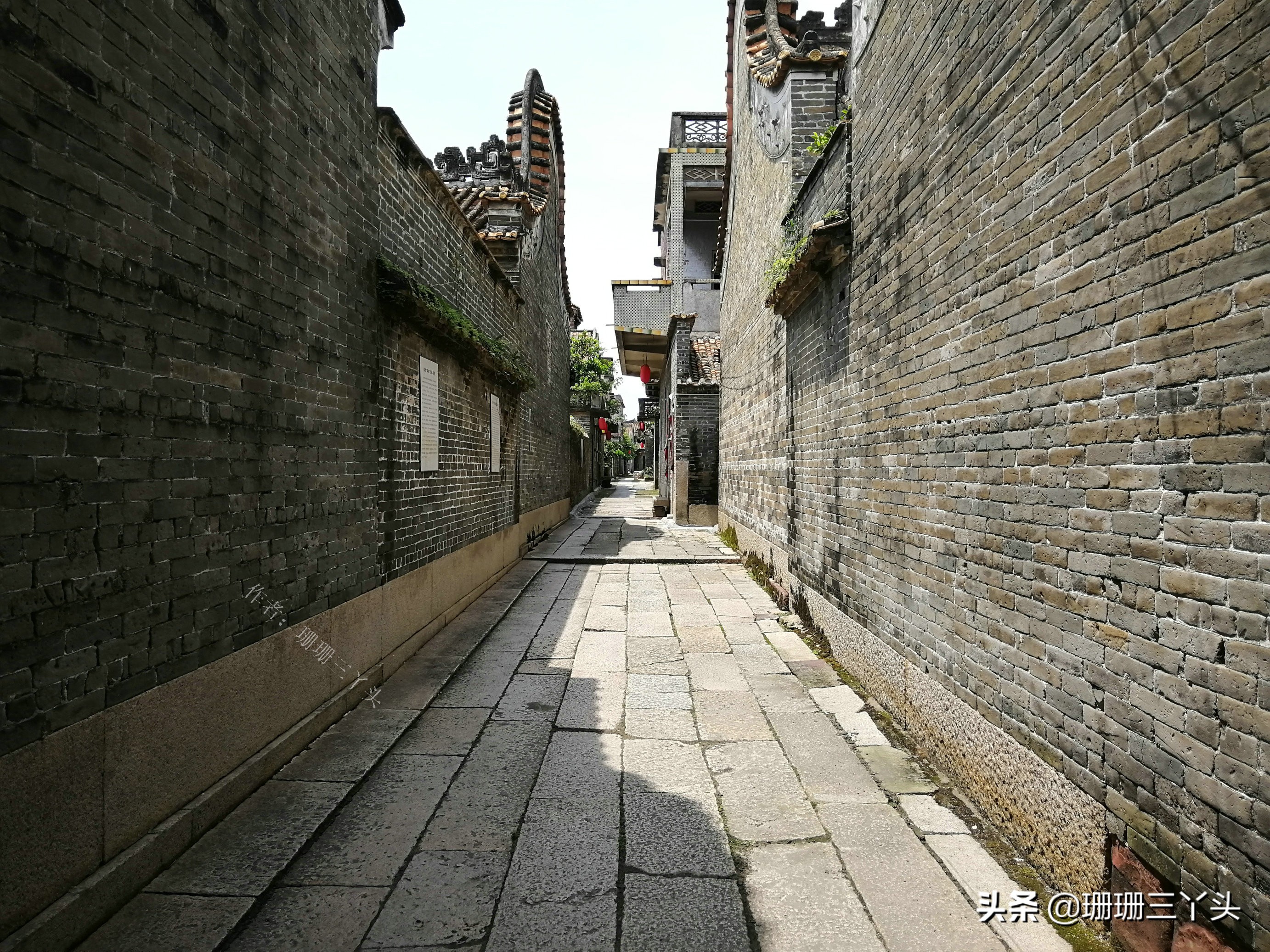 广州郊外古村，村始祖如何从养鸭专业户，到建“人才辈出”村子