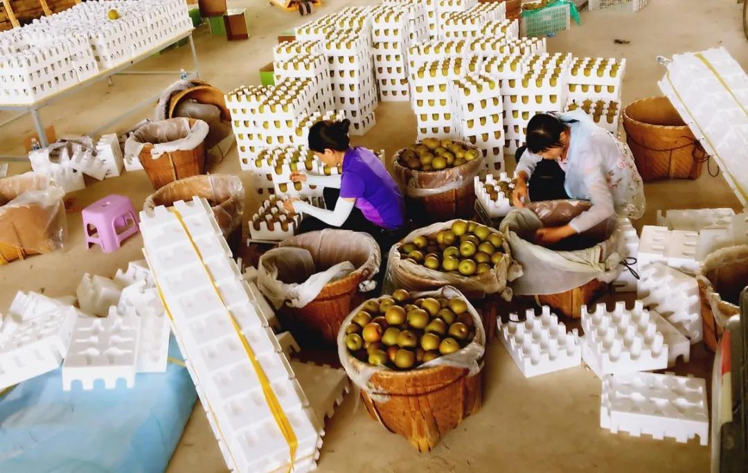 艾美龄：让农户搭乘互联网快车