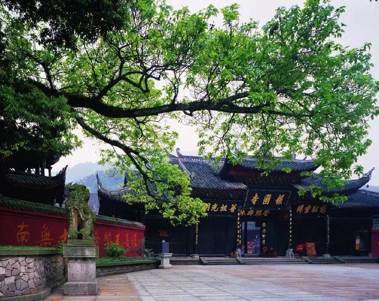 峨眉春游免费景点,一条绝佳的自驾旅游线路