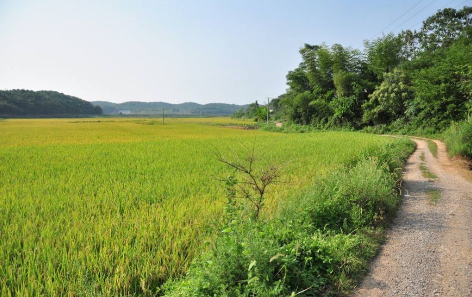 103岁的他说:“天门像我这年纪的人应该不多了吧……”