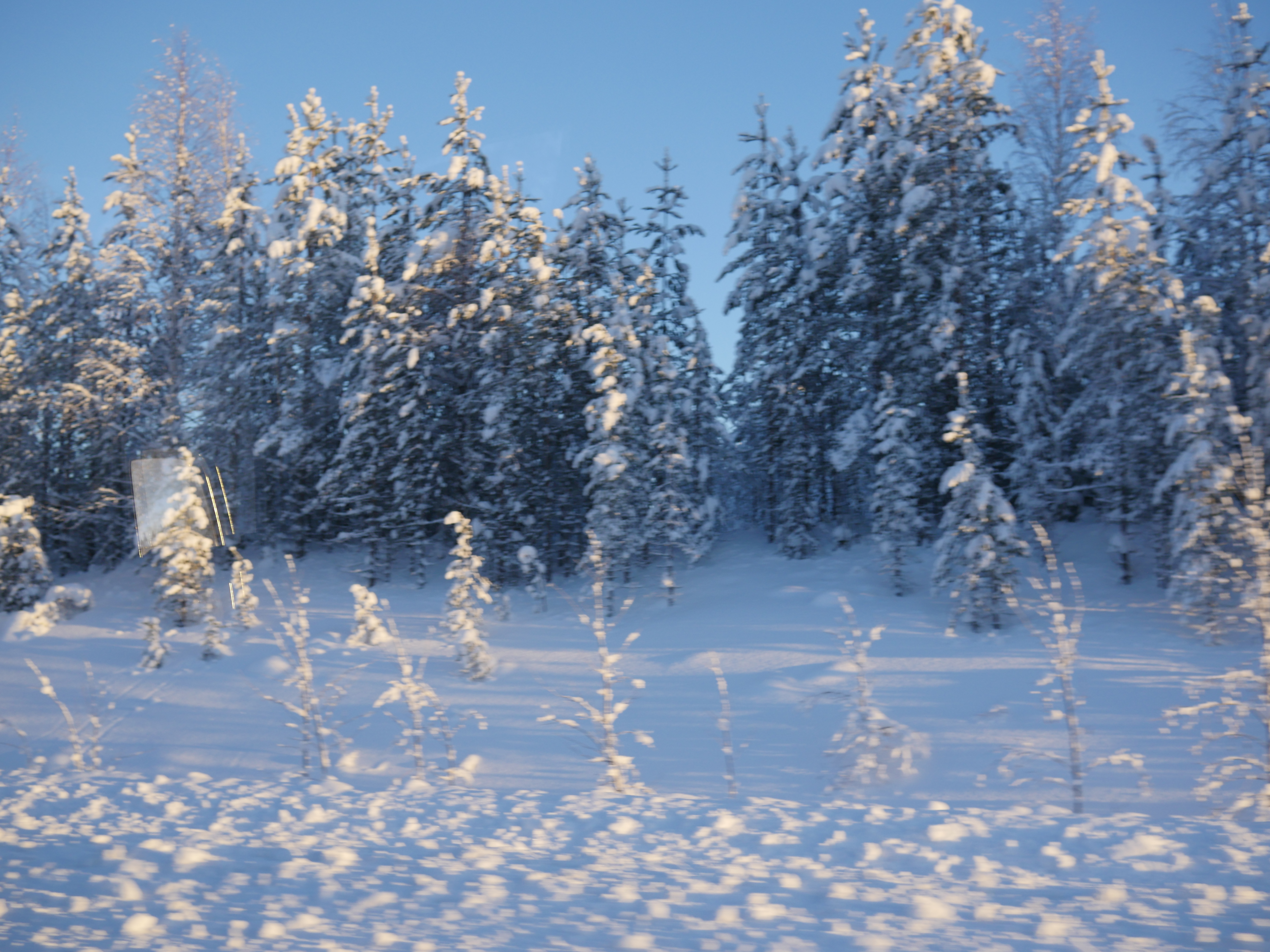 寒冬将至，2019冬季的魔力Taikatalvi-芬兰冬季文化营回顾