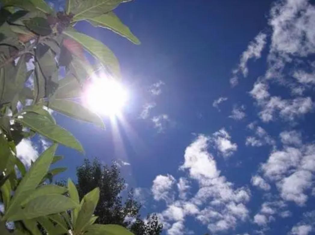 活性炭除甲醛活性炭要敲碎吗,除甲醛活性炭和鱼缸活性炭区别