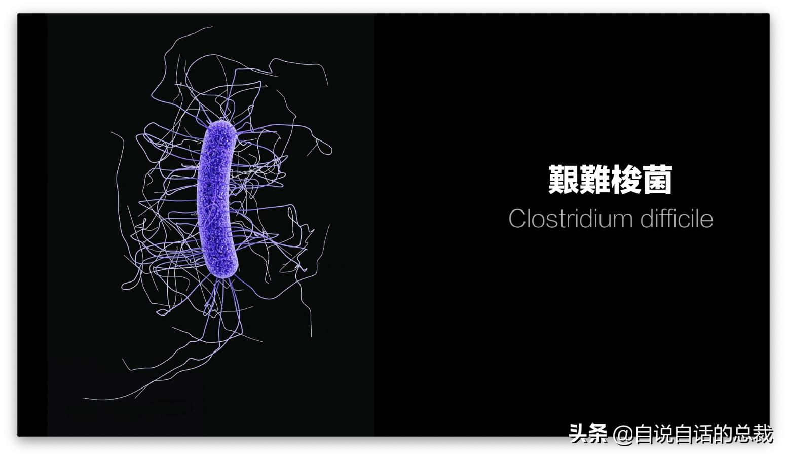 吃翔救命，最奇葩的药，人体“第二大脑”的五个惊奇
